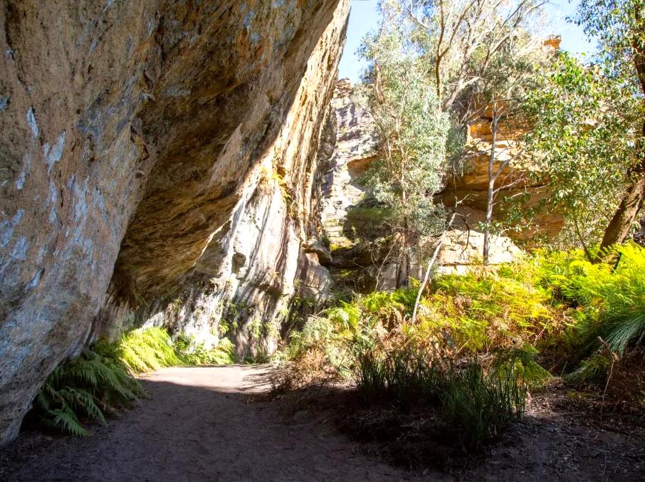 justindulgechicago|Blackfellows Hand Cave: Indigenous heritage at Blackfellows Hand Cave.