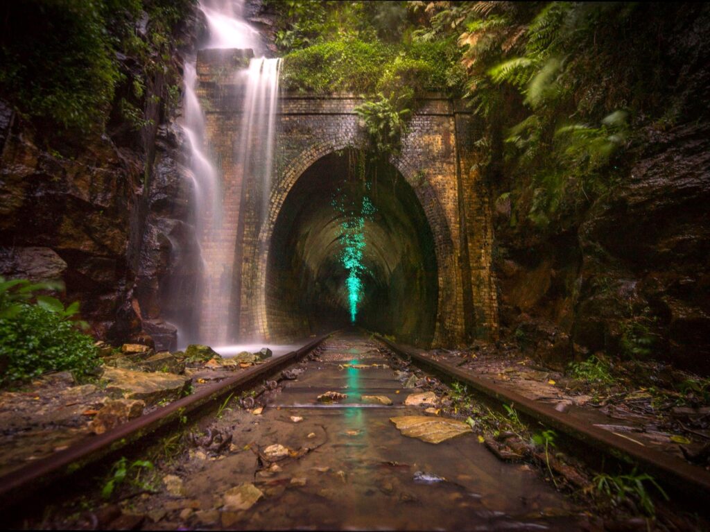 justindulgechicago|Glow Worm Tunnel: The magical experience of the Glow Worm Tunnel.